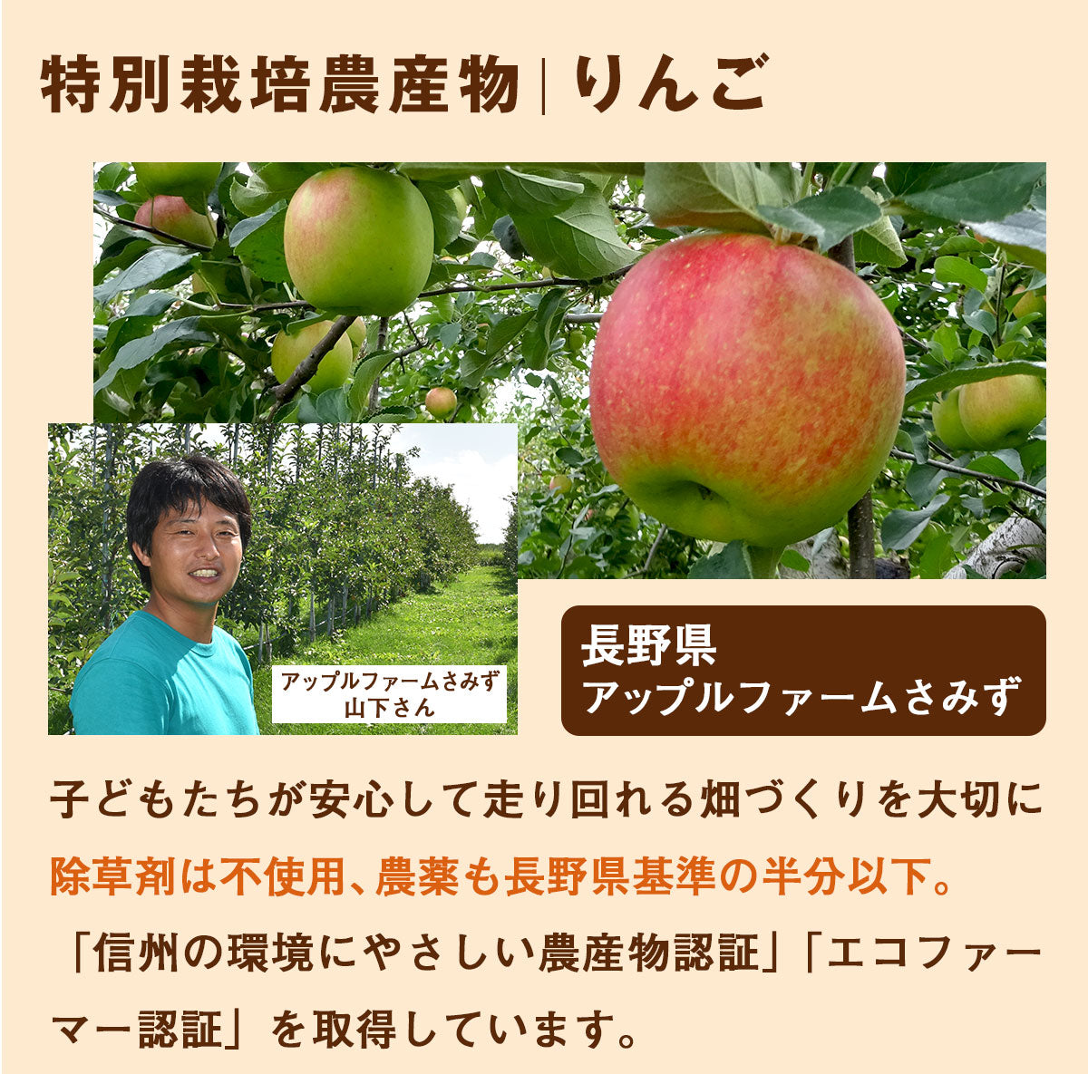 ピカべジ 人参りんごレモンジュース１箱（100ml×30パック） 冷凍 無添加 ストレート