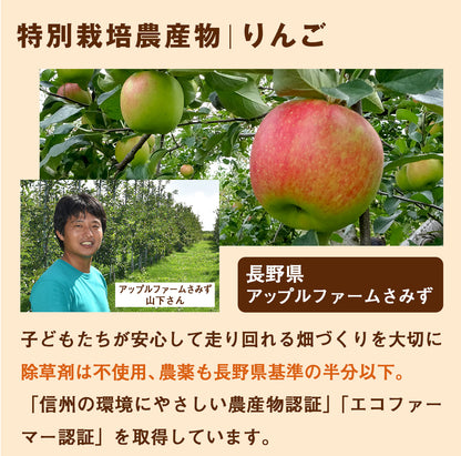 ピカべジ 人参りんごレモンジュース１箱（100ml×30パック） 冷凍 無添加 ストレート