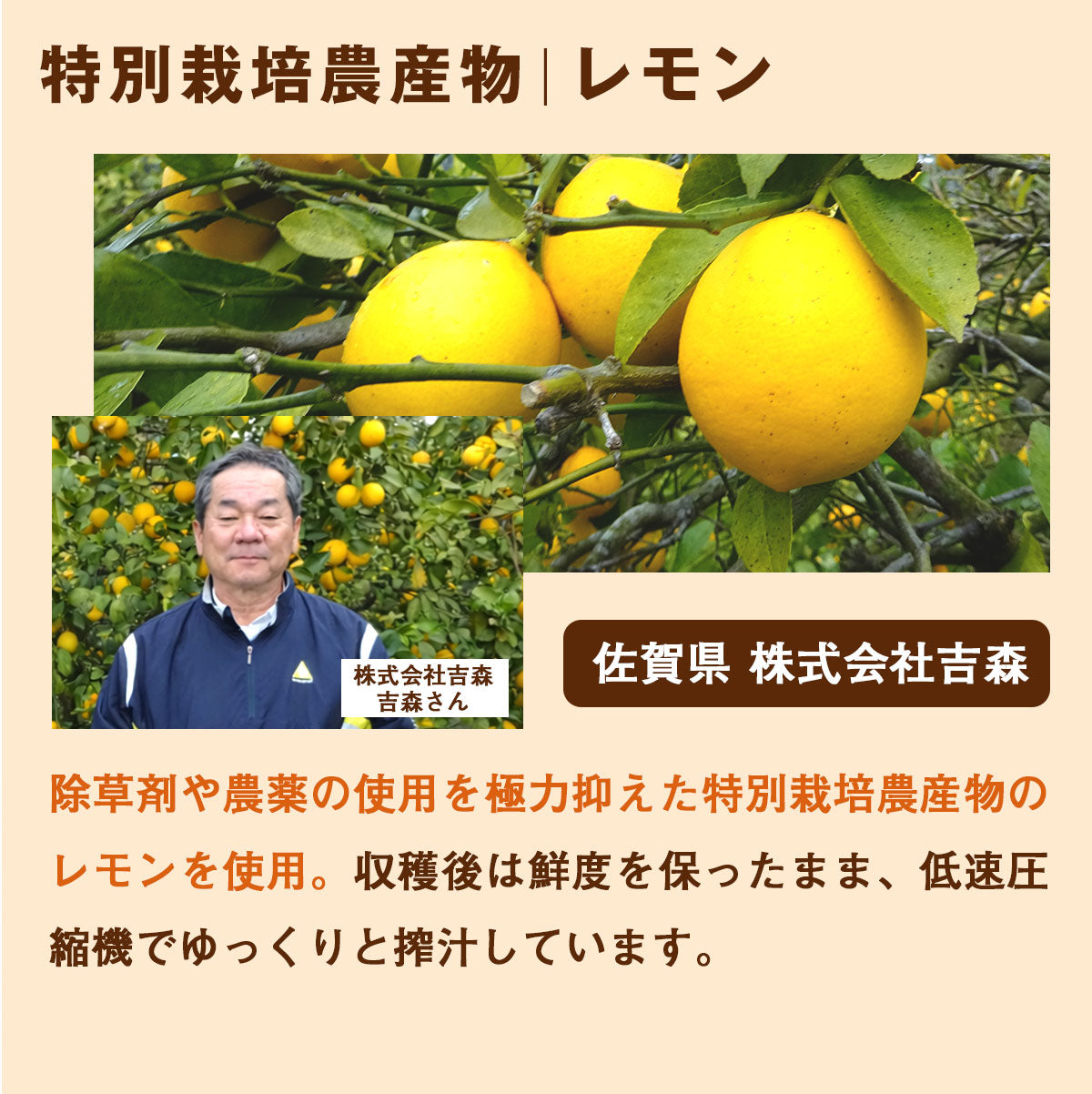 ピカべジ 人参りんごレモンジュース１箱（100ml×30パック） 冷凍 無添加 ストレート