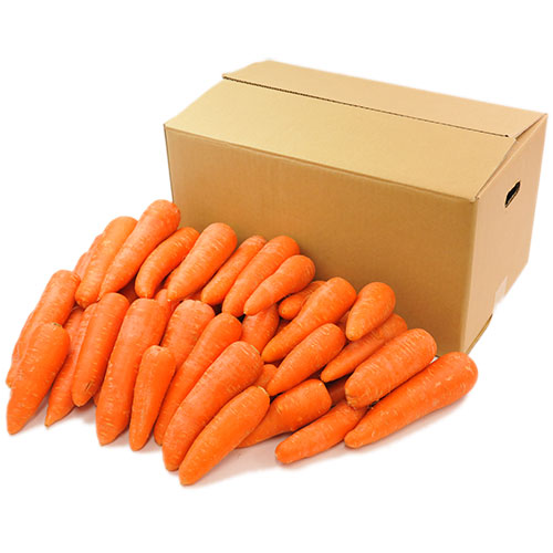 選べる特典付き！ ヒューロムスロージューサー H70FT (ホワイト)