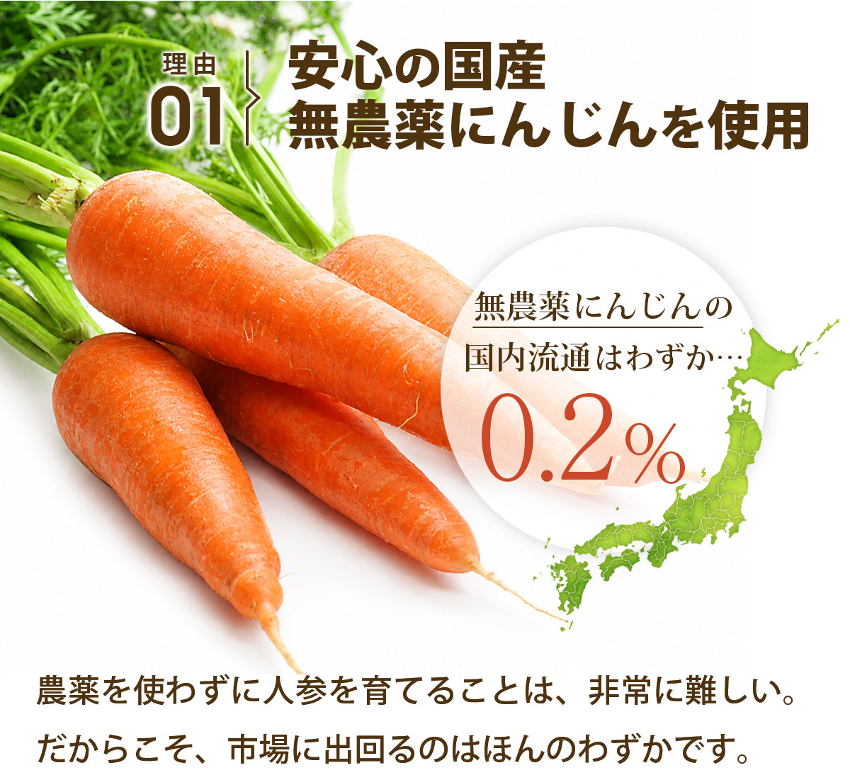 にんじんジュース 人参ジュース 飲み比べセット (大瓶) 4本入 / 6本入